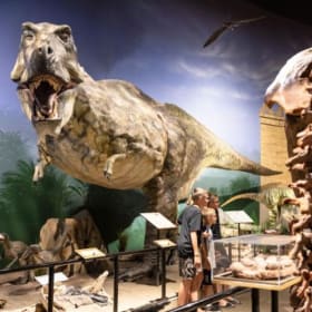 Creation Museum item