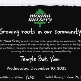 Treat yourself & your garden item