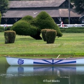 A day at the races at Saratoga item