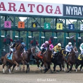 A day at the races at Saratoga item