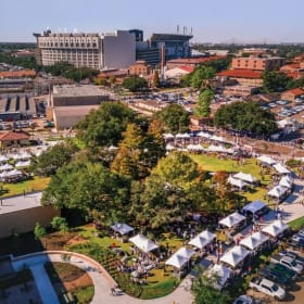 LSU Deluxe tailgate for an SEC home game item