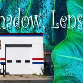 Light, Shadow, Lens Works (Co-sponsor) item