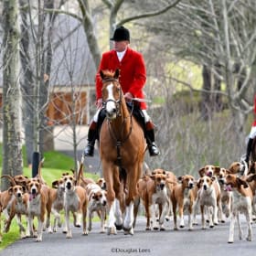 One Cap to hunt with the Orange County Hounds item