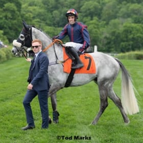 10% share in Boldog (FR) with trainer Tom Garner item