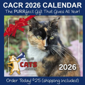 2026 Calendar item