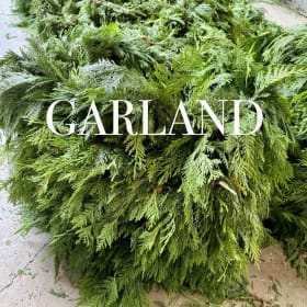 15' Cedar Garland item