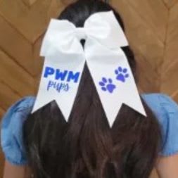 White PWM Bow item