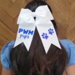 Blue PWM Bow item