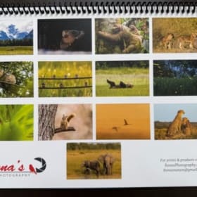 5 - 2026 full color Wildlife Calendars by Rona Neri item