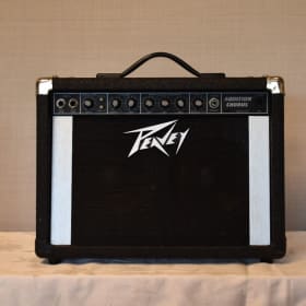 #48 - Peavey  Speaker item