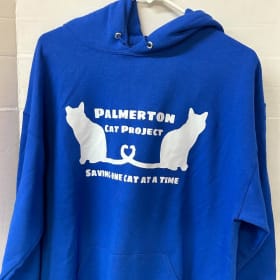 Blue Hoodies (S - XL) item