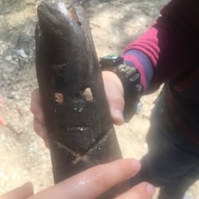 Buy-In Nature Walk for Kids (and their Grown-Up) item