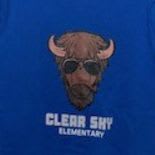 Youth - Bison with Sunglasses T-shirt - Medium item