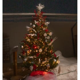 Tree #1 - Aardema Wood Floors item