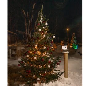 Tree #5 - Chuck Wagon Pizza item