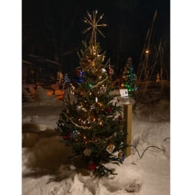 Tree #6 - Doc's On The River item