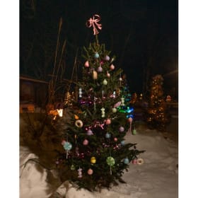 Tree #7 - Fins Beach Club item