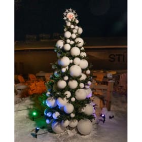 Tree #9 - FloraCraft item