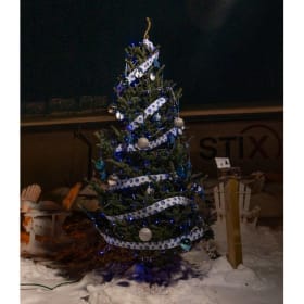 Tree #10 - Friends of Ludington Police item