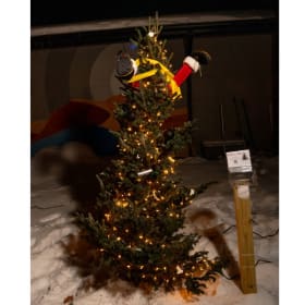 Tree #12 - Ivy Rehab Physical Therapy item