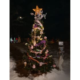Tree #15 - Letha Fulton School of Dance item