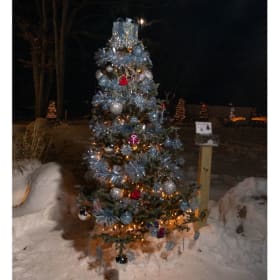 Tree #17 - Ludington Coats and Boots item