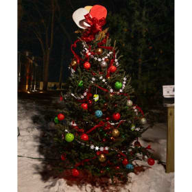 Tree #19 - Ludington Area Pickleball item