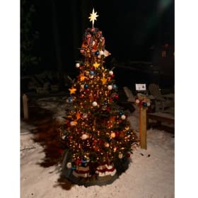 Tree #20 - Ludington Eagles 1354 item