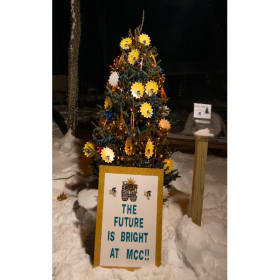 Tree #22 - Mason County Central School item