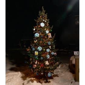 Tree #23 - Mason County Promise item