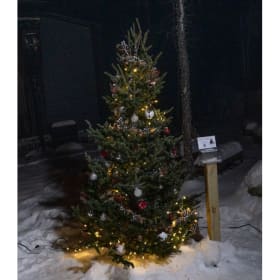 Tree #27 - Pennies from Heaven Foundation item
