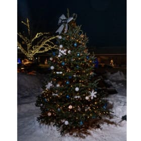 Tree #30 - Riemer Eye Center item