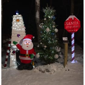 Tree #31 - Safe Harbor Credit Union item