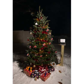 Tree #34 - Smith & Eddy Insurance item