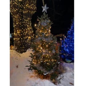 Tree #45 - Western Land Services item