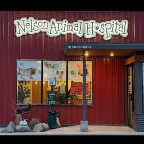 #2 100,00 Nelson animal hospital certificate item