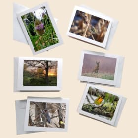 Large Sharing Nature Together greeting cards item