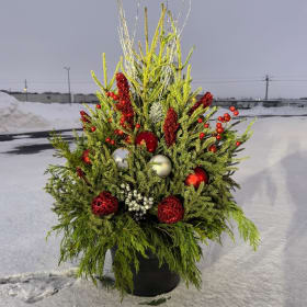 Sparkling Porch Plant - $250 Glittery & Gorgeous! item