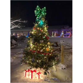 Tree #28 - Pineview LLC item