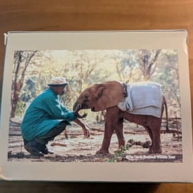Elephant Themed package item