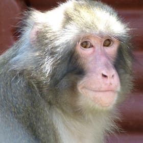 Behind the scenes at Story Book. item