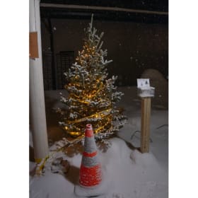 Tree #3 - AndyS item