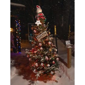 Tree #16 - Ludington Bowling item