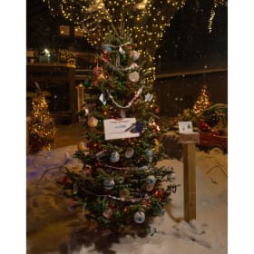 Tree #43 - West Michigan CMH System item