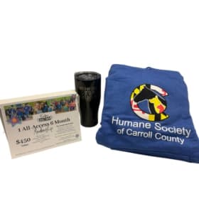 6 Month Fitness Membership, Hoodie & Tumbler item