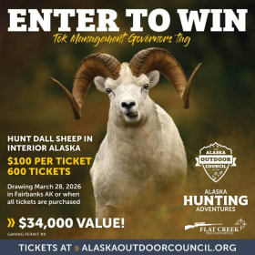 Guided Dall Sheep Adventure item