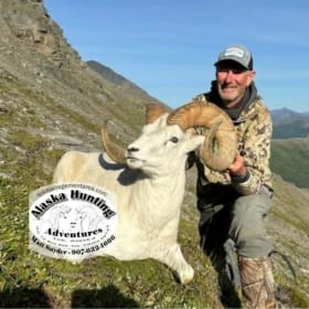 Guided Dall Sheep Adventure item