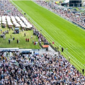 Morning on the gallops and racing at Epsom Racecourse item