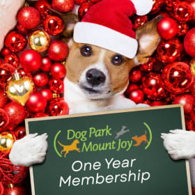 Dog Park Mount Joy One Year Membership item