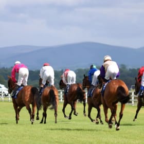 Morning on the Gallops and a Day at The Curragh Races item